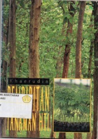 Image of Pembibitan Tanaman HTI